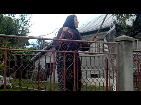 CEARTA LA DEALU FRUMOS PE BANCA LUI SILVA