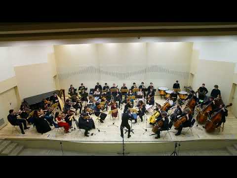 Craciun Vienez. 19.12.2025