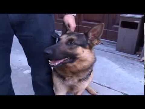 Spaccio di stupefacenti, quattro arresti