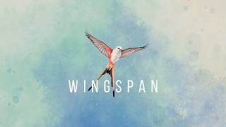 【☆WINGSPAN (ウイングスパン)】ミンハイタイム