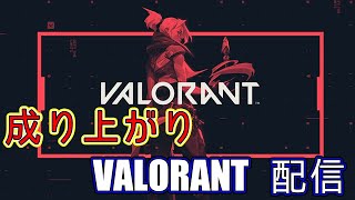 限界大学生の成り上がりVALORANTランク！！【ゴル～プラ】