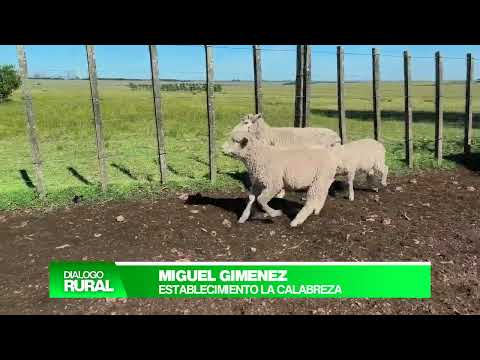DIALOGO RURAL TV PROGRAMA 84