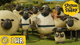 Download lagu Shaun the Sheep π Who Is Interrupting The Cricket Match? & MORE π Full Episodes Compilation mp3 Download lagu Shaun the Sheep π Who Is Interrupting The Cricket Match? & MORE π Full Episodes Compilation mp3