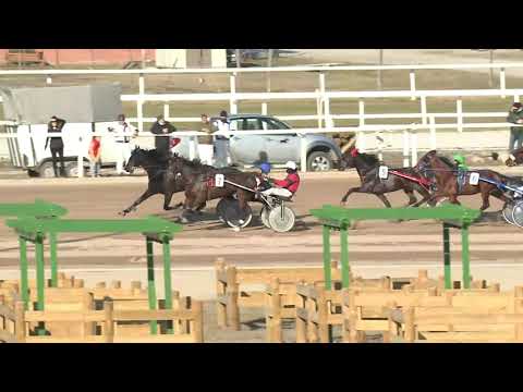 2021.02.27. 03. futam - 2021. ÉVI SEGÉDHAJTÓ KUPA I. FUTAMA HENDIKEP