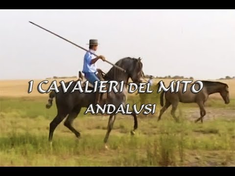 I cavalieri del mito: Andalusi "razze Andaluso (PRE) e Marismeña, Prov.Huelva/R.A.Andalusia /Spagna"