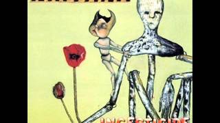 Nirvana (New Wave) Polly