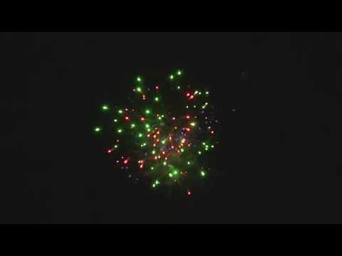 Shellscape SCBHQ09B   25s 25mm Gold Tail to Multicolour Peony