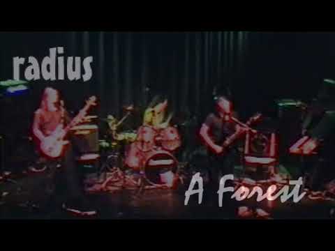 Thumbnail for Radius - A Forest (The Cure cover - rehearsal) by Simon Gallup