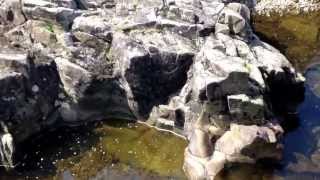 preview picture of video 'Tourmakeady rock pools Mayo Ireland'