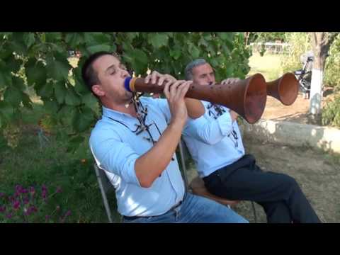 Nebet me curle.(Talenti Shkelzen Memishi)