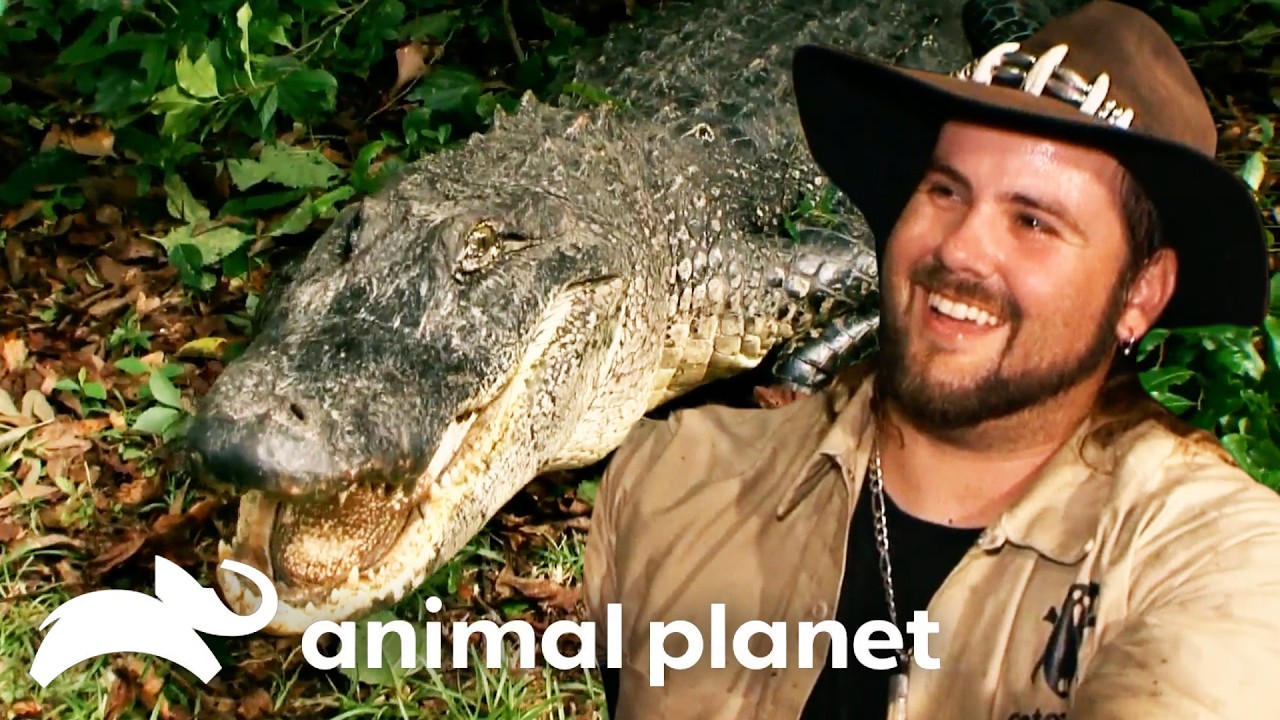 Monstrous Gators from Season 3 | Gator Boys | Animal Planet