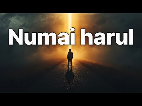 În umblarea mea prin lume (Cover)