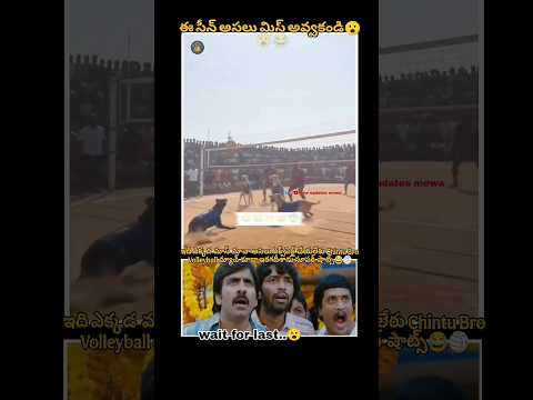last lo twist Miss avakandi||😮#volleyball#playingdogs #animallovers#viralshorts #telugushorts