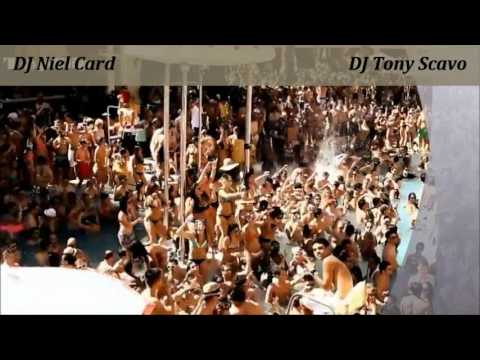 Dj Niel Card & Tony Scavo   Showtek, Cannonball,Axwell vs Sebastian Ingrosso, Roar; Neon Light,Avici