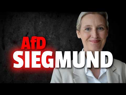 💥BSW fliegt raus! AfD absolute Mehrheit?!