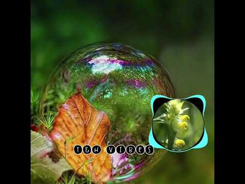 GEDZON - Zouk MashUp [4Kenzo]🎵🎶