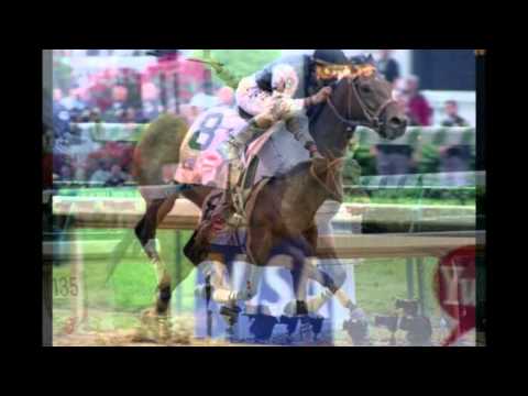 Mine That Bird   2009 Kentucky Derby Winner