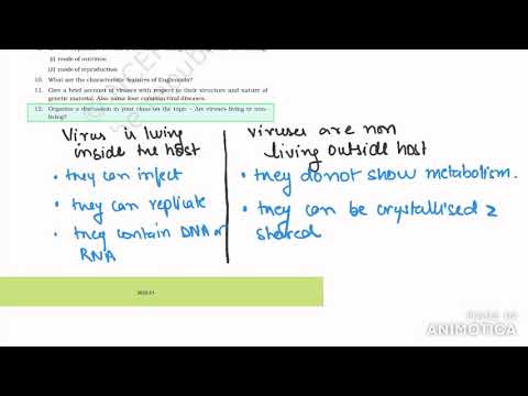 12 . Organise a discussion in your class on the topic - class 11 biological clanfication