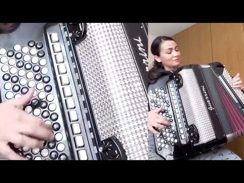 Danijela Predic - Beogradjanka kolo - (LIVE)