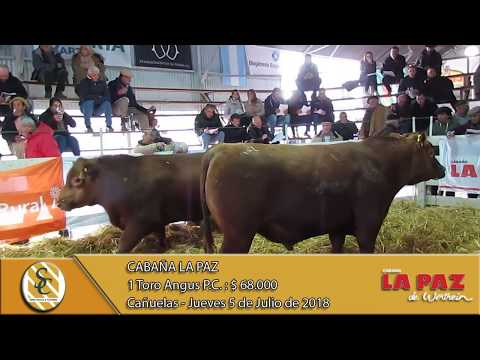 05-07-18 Venta de Toros P.C. - Cabaña La Paz - Cañuelas.