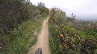 03-16-15 Serrania Ridge Trail, Woodland Hills, CA - Downhill from the top of Mullholand Dr.  A short little gem of a ride with mostly smooth singletrack.  Hikers are out so use a bell or other.  Climbing is a challenge as the lower section is very steep and technical.  No shame with Hike-a-bike!