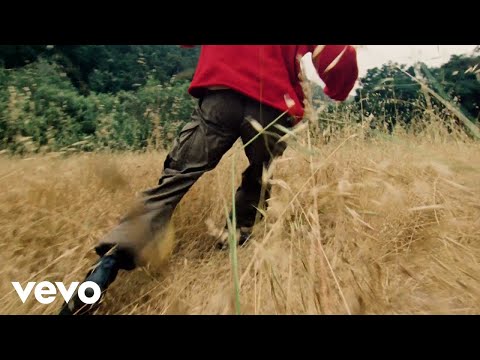 Del Water Gap - Marigolds (Official Visualizer)