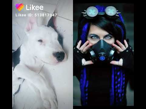 Azeneth👏👏👏👏👏😺😺😺😺😺❤❤