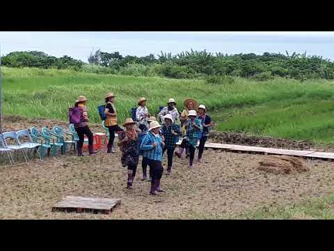 「Itini Kami東海岸環境劇場」拉開活動序幕影片