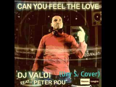 Dj Valdi - Can You Feel The Love (Ft. Peter Pou) (Ury S. Cover)