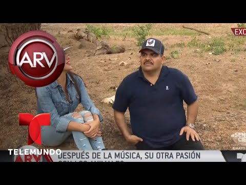 Chuy Lizárraga abrió las puertas de su rancho | Al Rojo Vivo | Telemundo