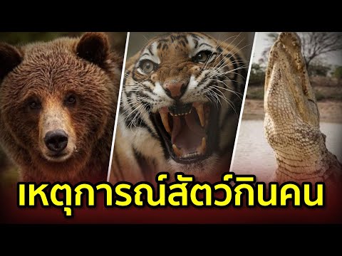 กลายเป็นความอ่อนแอ ซื้อเชื้อโรคในแม่น้ำ