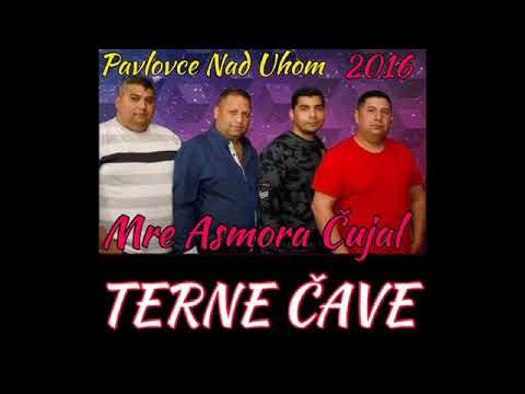 PAVLOVCE TERNE CAVE 60 - MRE ASMORA CUJAL   60 DEMO 2016