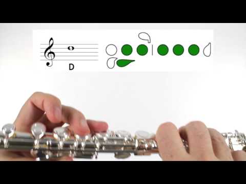 Beginner Flute Lesson 5 - First Note!  D