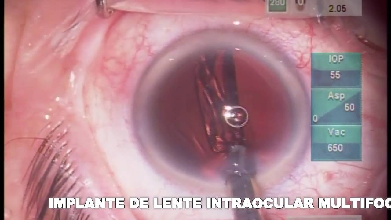 Claudia Jimenez Romo-10