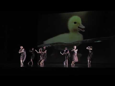 Vítej na světě II