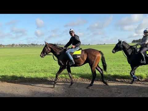 A morning with Saachi & Harry Eustace - 29th September 2023