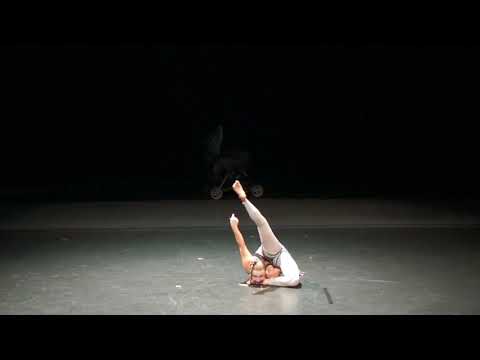 Demo video (Anastasia Evsigneeva)