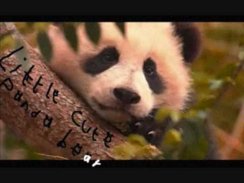 Lange Frans & Baas B ft. Brutus & Ninthe - Dikke Shit!