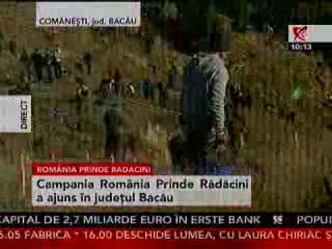Romania prinde radacini, Realitatea TV, 30 octombrie