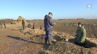 Сроки охоты и рыбалки 2020 беларусь