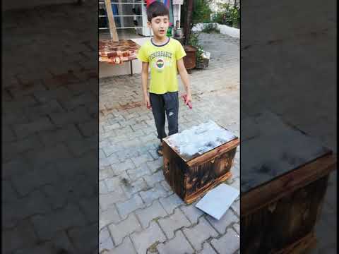 Arı kovanı boyama etabı nasıl yapılır?