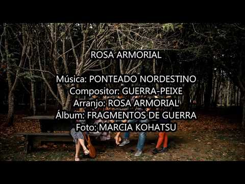 PONTEADO NORDESTINO - ROSA ARMORIAL