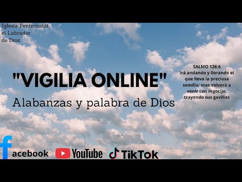 "Vigilia online"