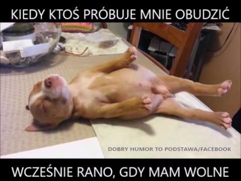 Kiedy ktoś  próbuje nas obudzić 