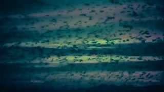 Plaid - Host (Heaven's Door, 2008)