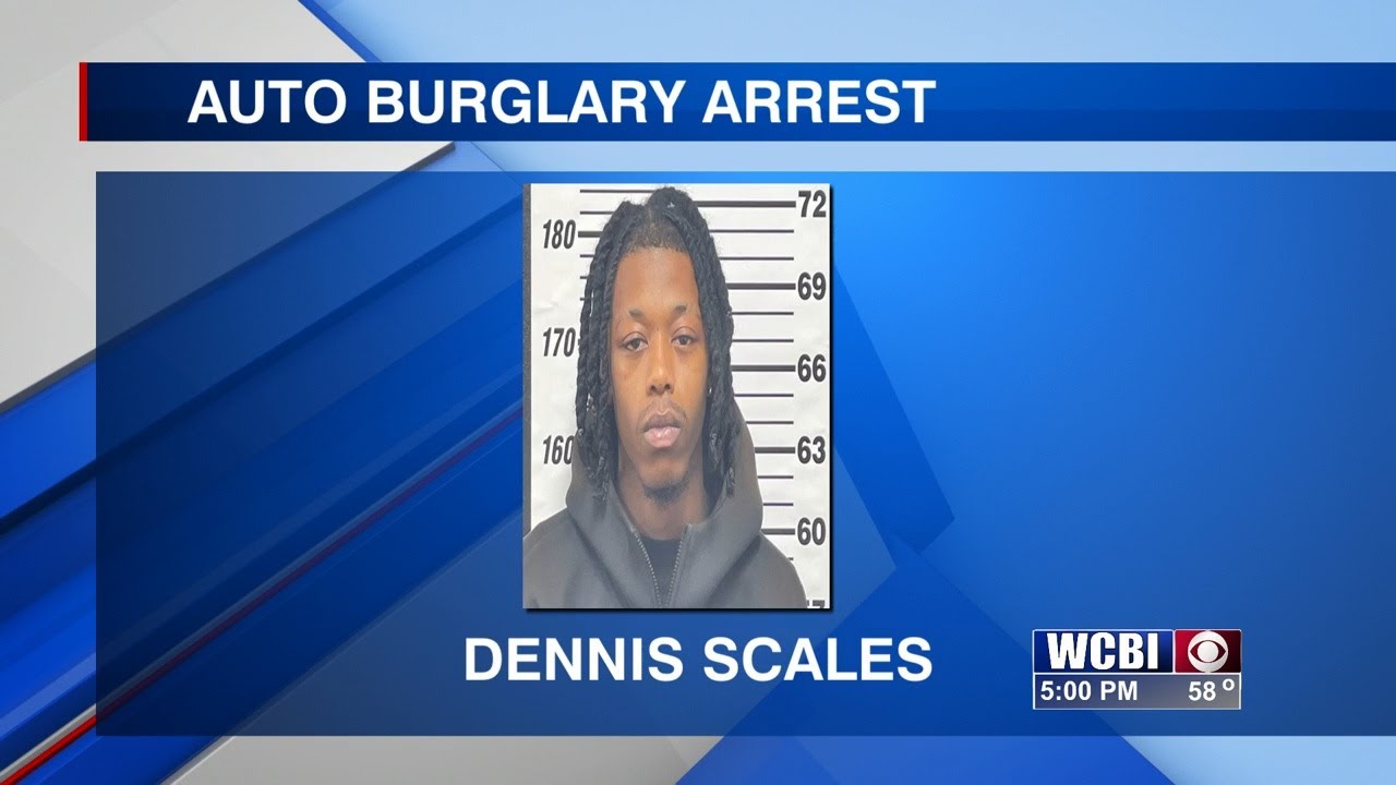 Starkville police make 2 arrests in weekend car theft