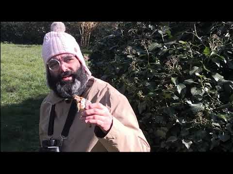 Rikard Slattenrøvs forunderlige verden 1