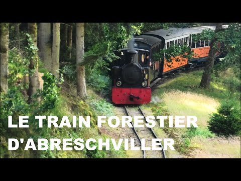 Le train forestier d'Abreschviller