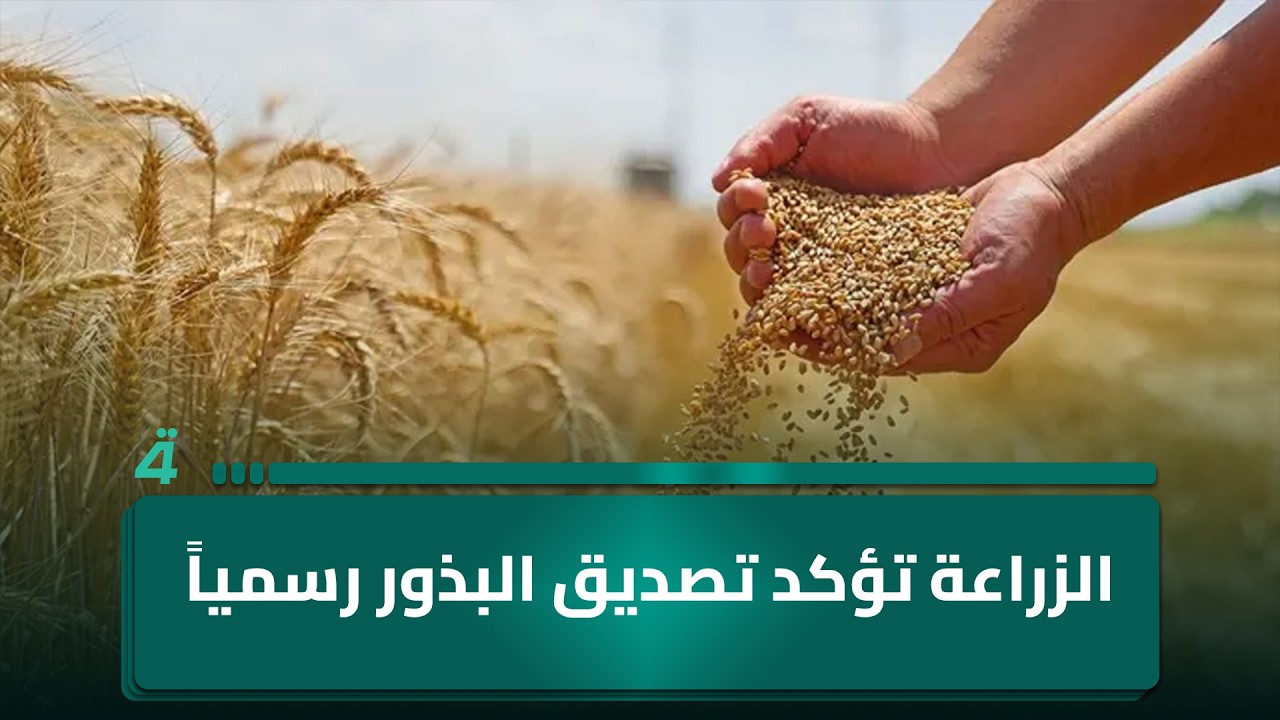 فيديو | الصحة تعتمد البطاقة الإلكترونية للضمان الصحي بدلاً من الدفتر الورقي.. الزراعة تؤكد تصديق البذور