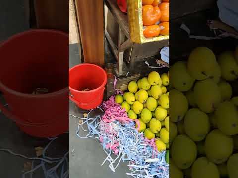 #mango #alphonso #its mango season already #mangolovers #kingoffruitsmango